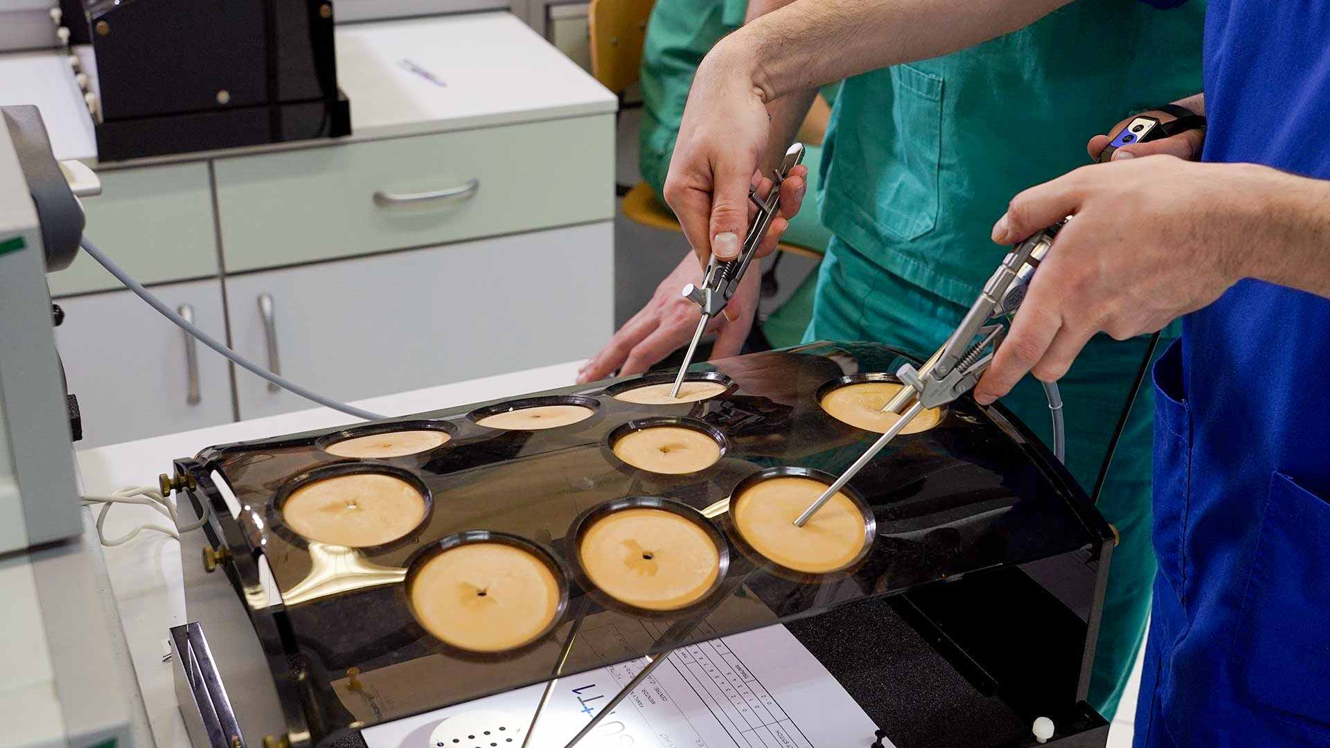 What is GESEA? Understanding the Structured Pathway to the MIGS Diploma